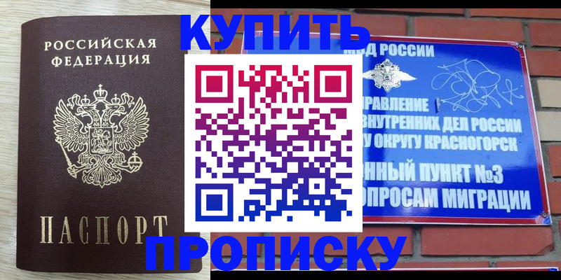 прописка гарантия в Фрязино